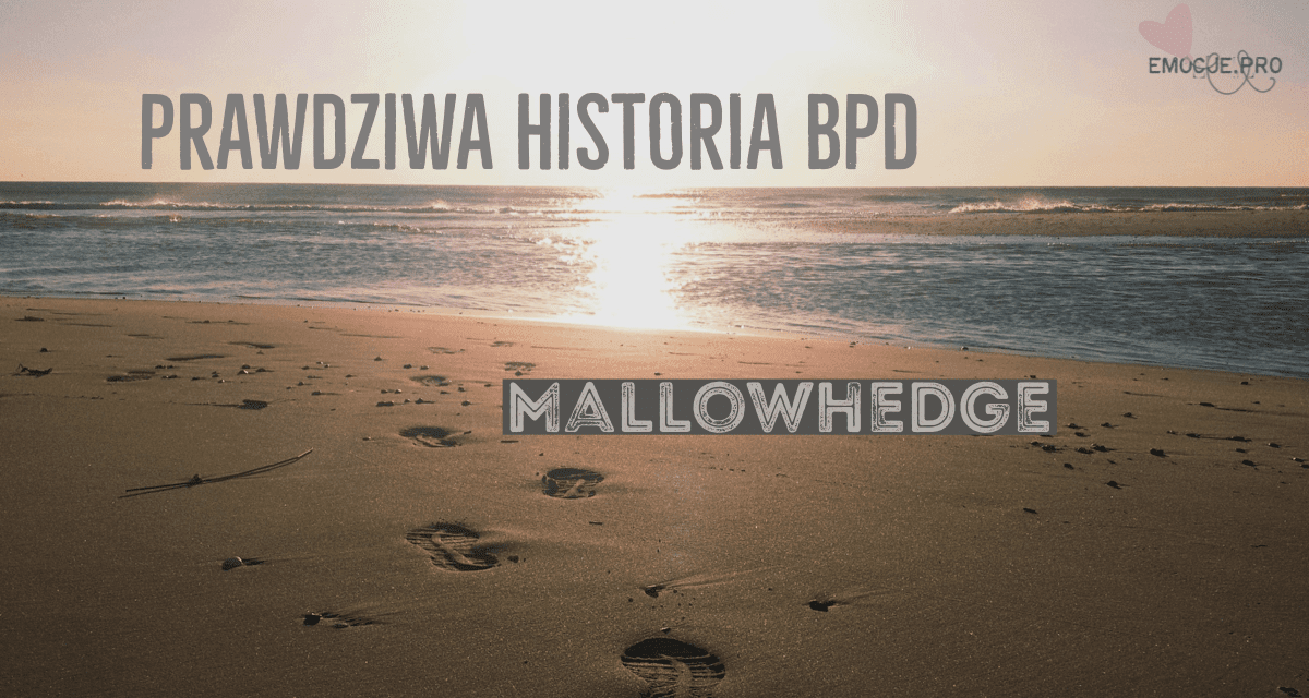 Zaburzenie Osobowości z Pogranicza- Moja historia-Mallowhedge